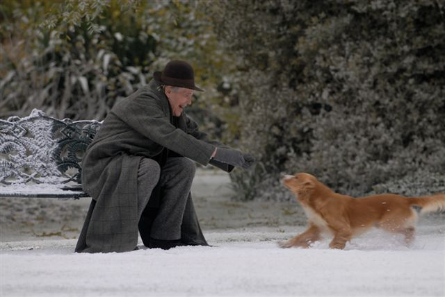 Filmes com Border Collie