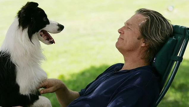 Filmes com Border Collie