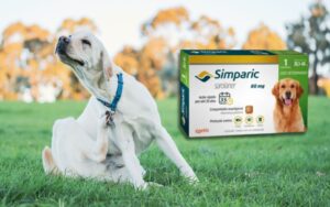 Para que serve o Simparic para cachorro