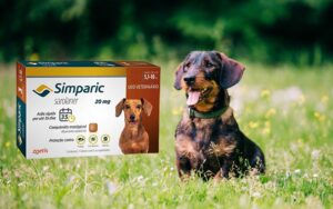 Preço Simparic 5 a 10kg