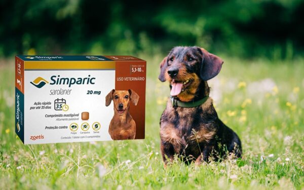 Preço Simparic 5 a 10kg