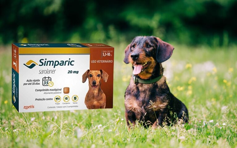 Preço Simparic 5 a 10kg