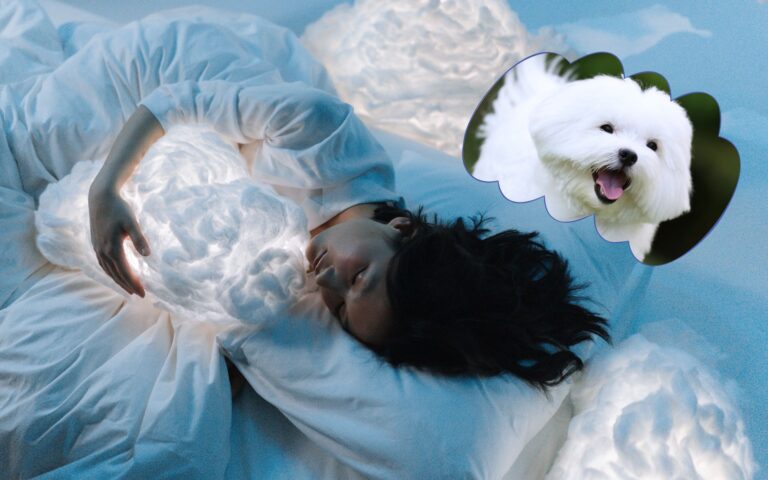 Sonho com cachorro branco