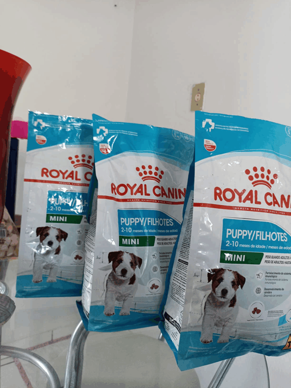 Melhor ração para filhotes Shih Tzu