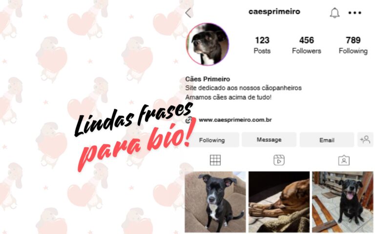 Frases para bio de cachorro