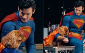 cachorro do David Corenswet
