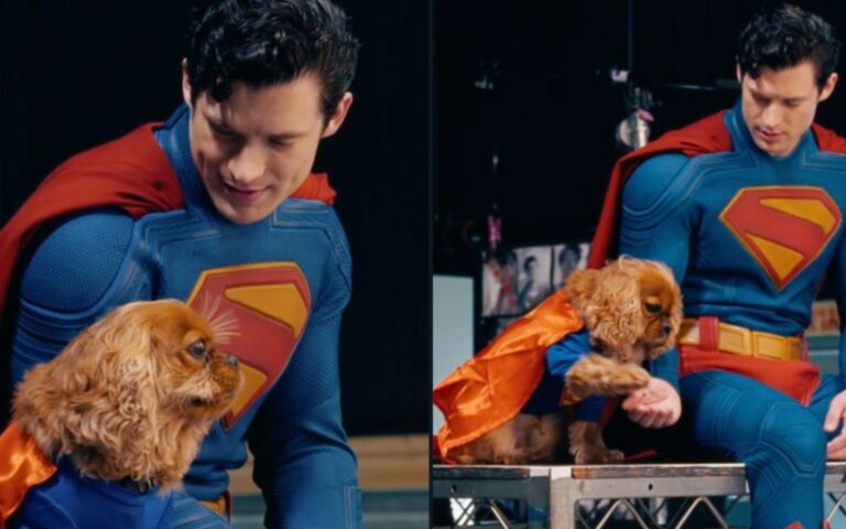 cachorro do David Corenswet