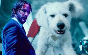 futuro de Krypto no DCU
