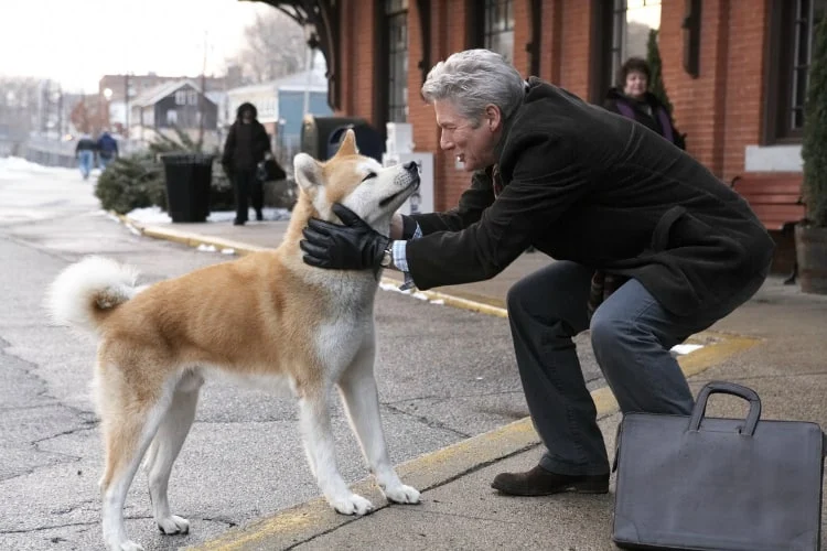 filme com cachorros