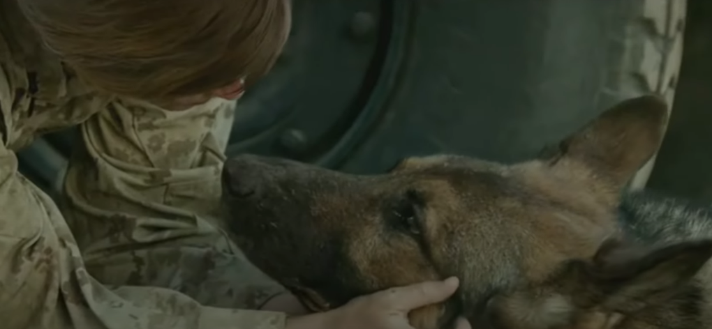 filme com cachorros