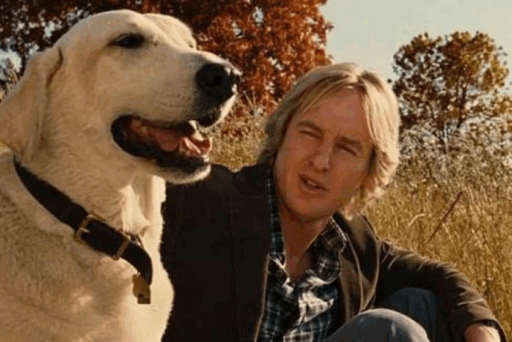 filme com cachorros