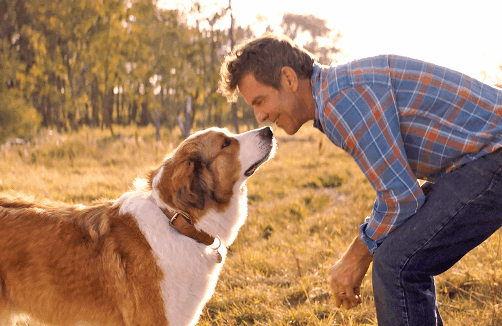 filme com cachorros