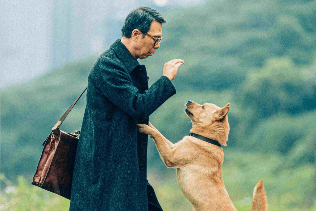 filme com cachorros