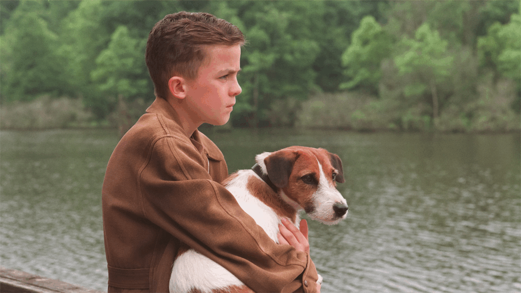 filme com cachorros