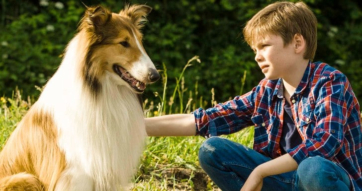 filme com cachorros