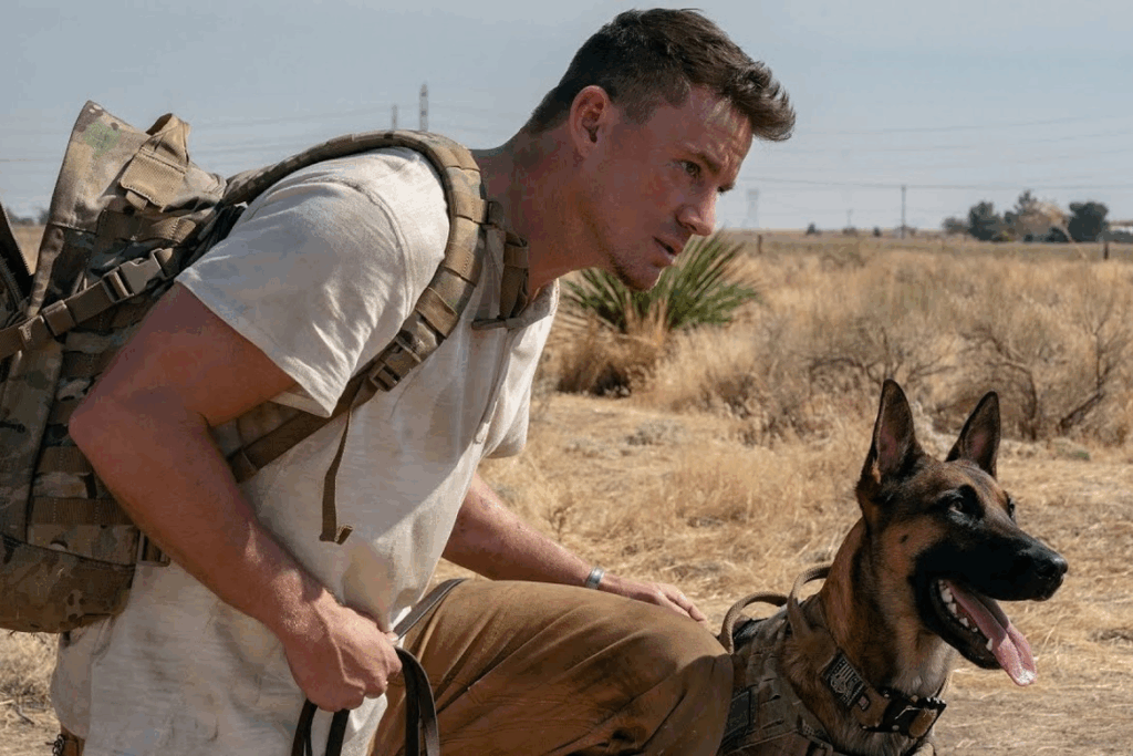 filme com cachorros