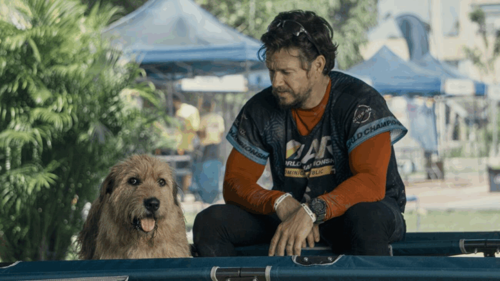 filme com cachorros