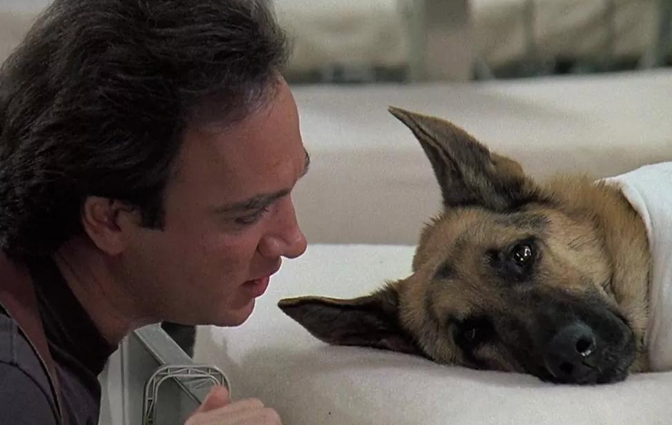 filme com cachorros