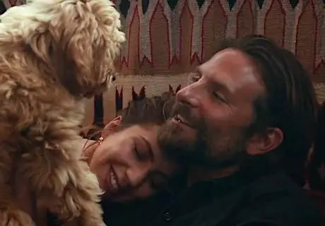 filme com cachorros