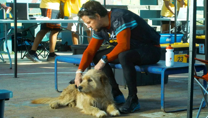 filme com cachorros
