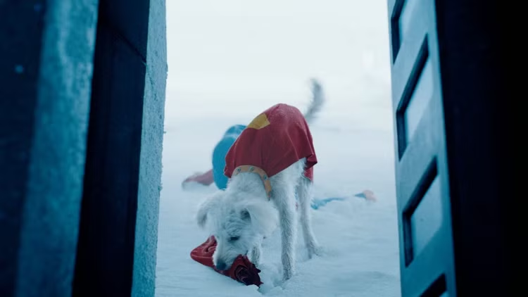 futuro de Krypto no DCU