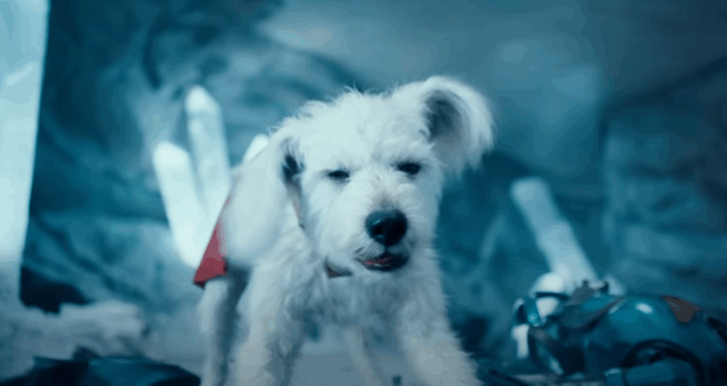 Krypto o Supercão