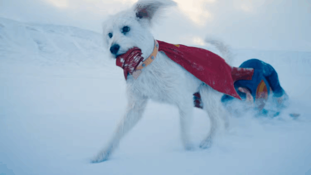Cena chocante do Krypto no filme do Superman