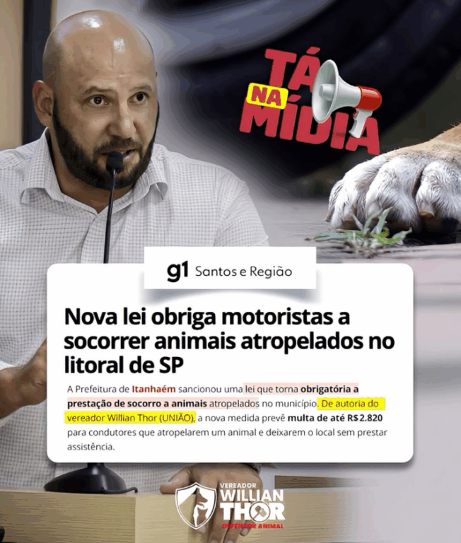 Atropelar cachorro pode render uma multa salgada