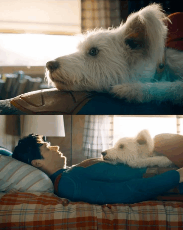 Krypto fez adoções dispararem nos EUA