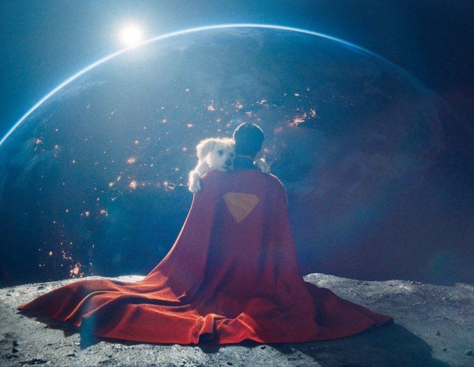 Krypto fez adoções dispararem nos EUA