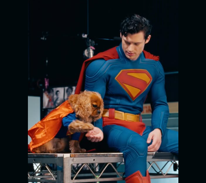 cachorro do David Corenswet