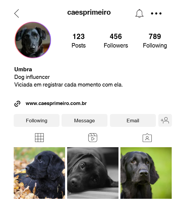 Frases para bio de cachorro