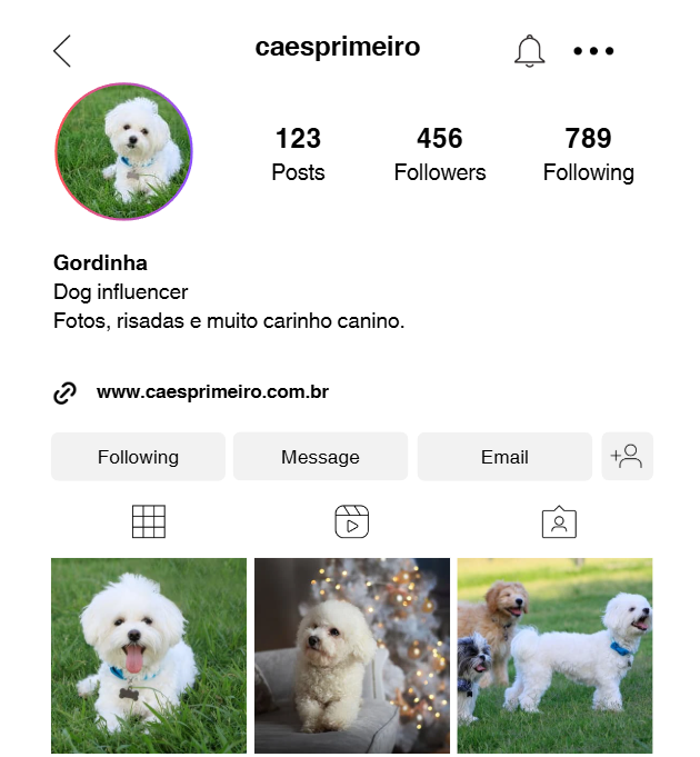 Frases para bio de cachorro