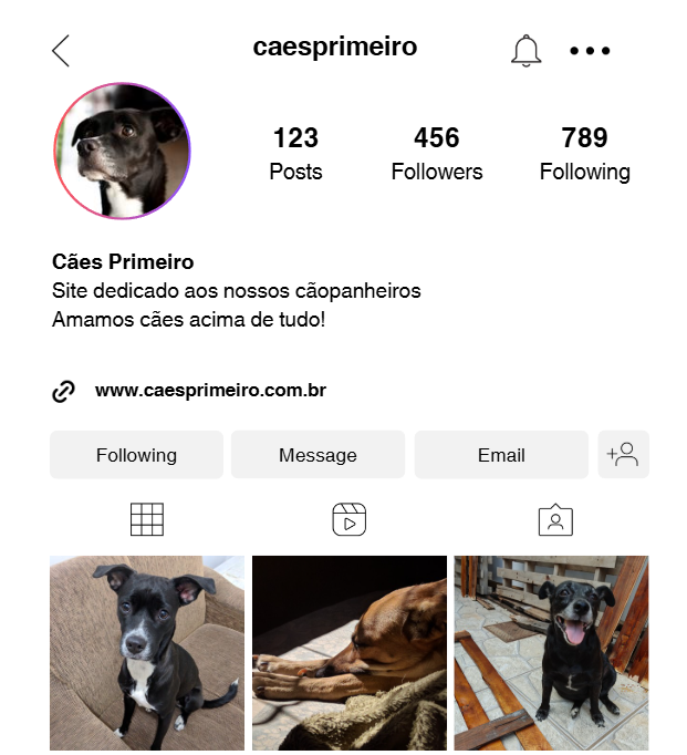 Frases para bio de cachorro