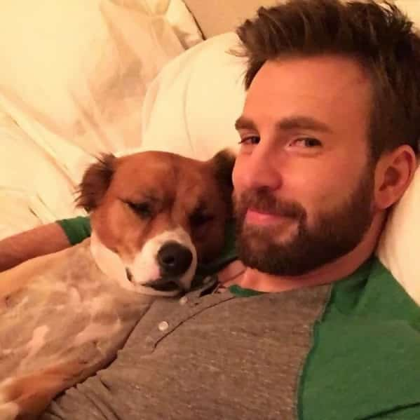 Atores que se apaixonaram pelos cães na ficção