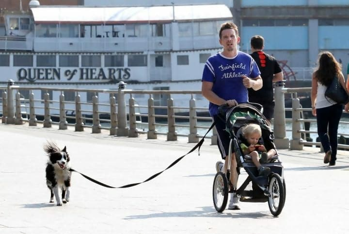 Atores que se apaixonaram pelos cães na ficção
