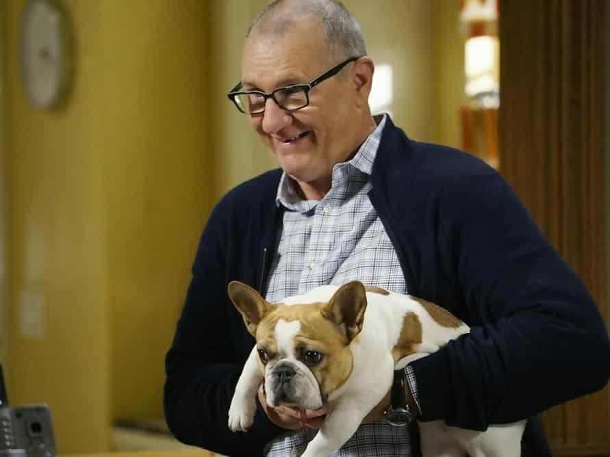 Atores que se apaixonaram pelos cães na ficção