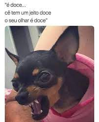 Memes de Pinscher