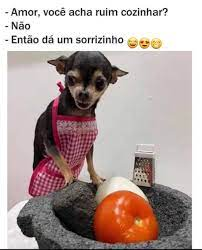 Memes de Pinscher