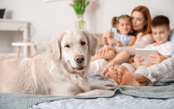 Qual o melhor cachorro para criança