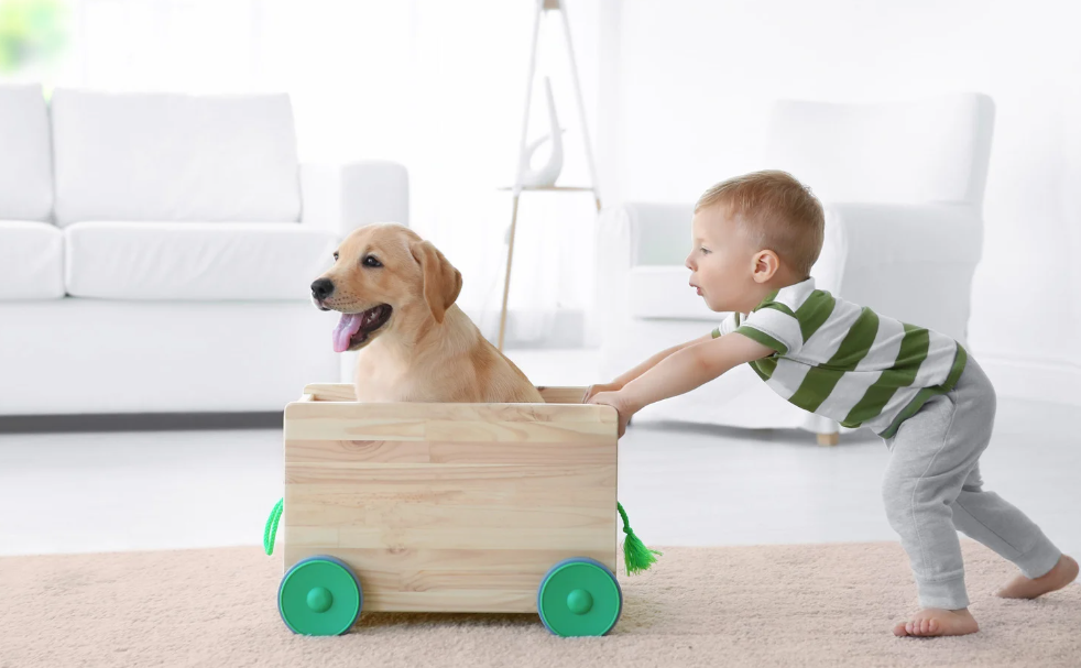 Qual o melhor cachorro para criança
