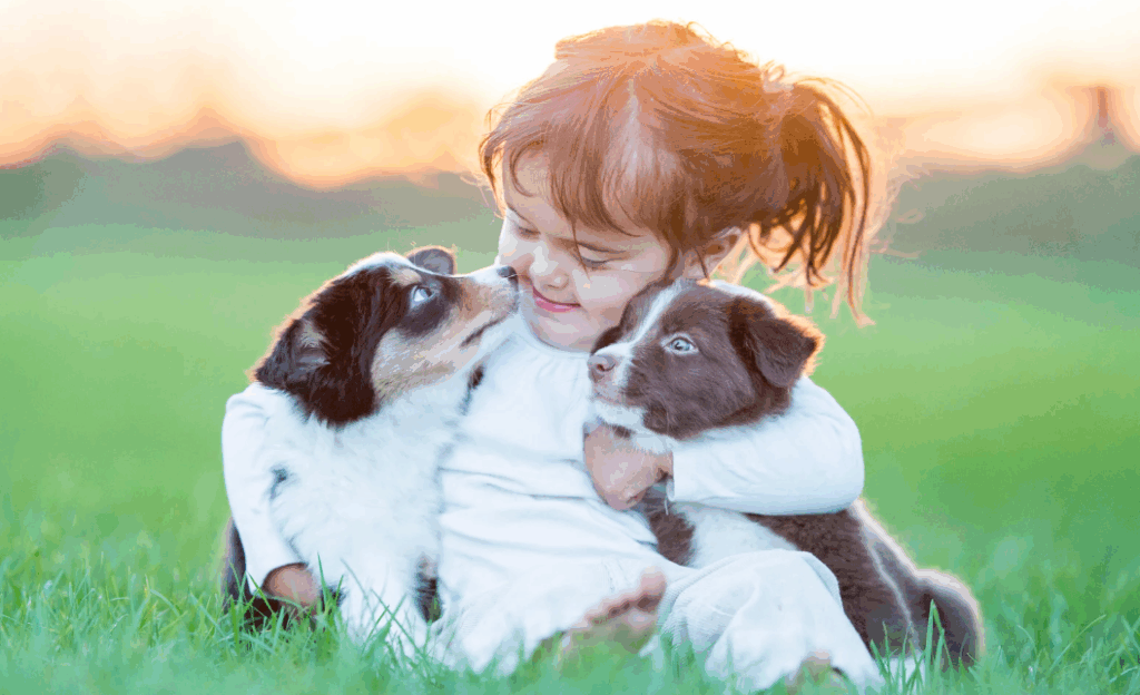 Qual o melhor cachorro para criança