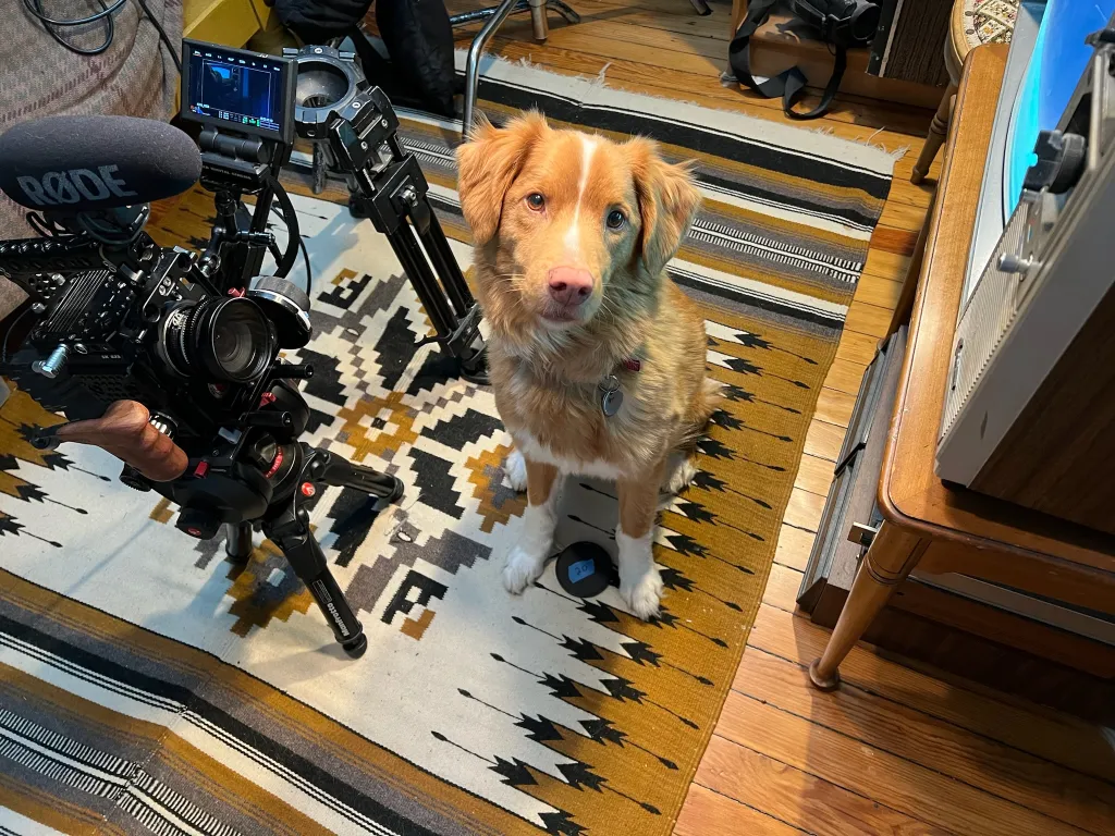 Diretor de Good Boy usou seu cachorro no filme
