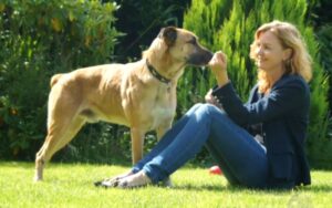 Cão é adotado por aeromoça alemã na Argentina