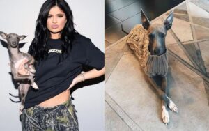 Kylie Jenner diz adeus a Norman