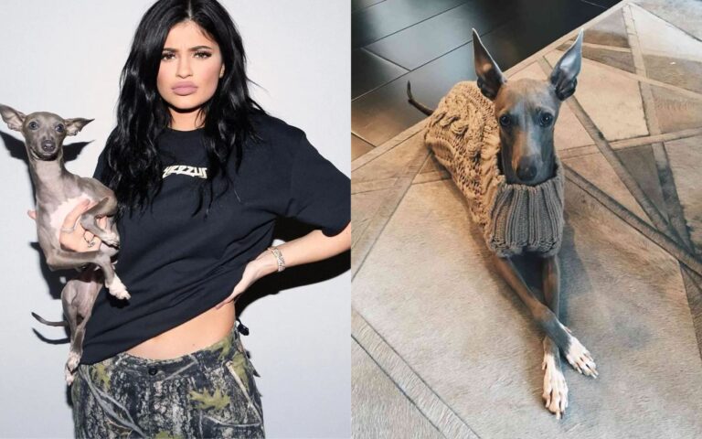 Kylie Jenner diz adeus a Norman