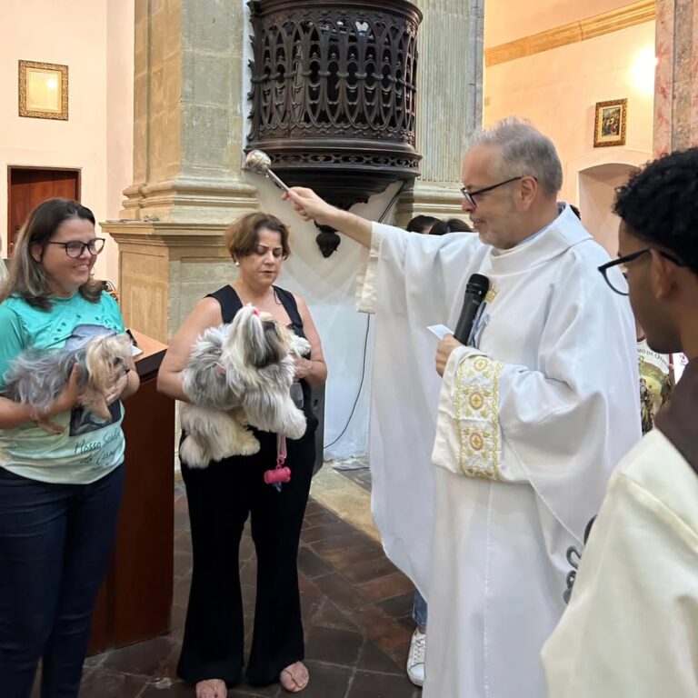 Padre em Caruaru resgata cães e põe em adoção nas missas 2 Padre em Caruaru resgata cães e põe em adoção nas missas