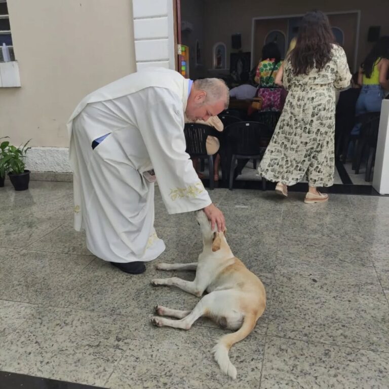 Padre em Caruaru resgata cães e põe em adoção nas missas 4 Padre em Caruaru resgata cães e põe em adoção nas missas