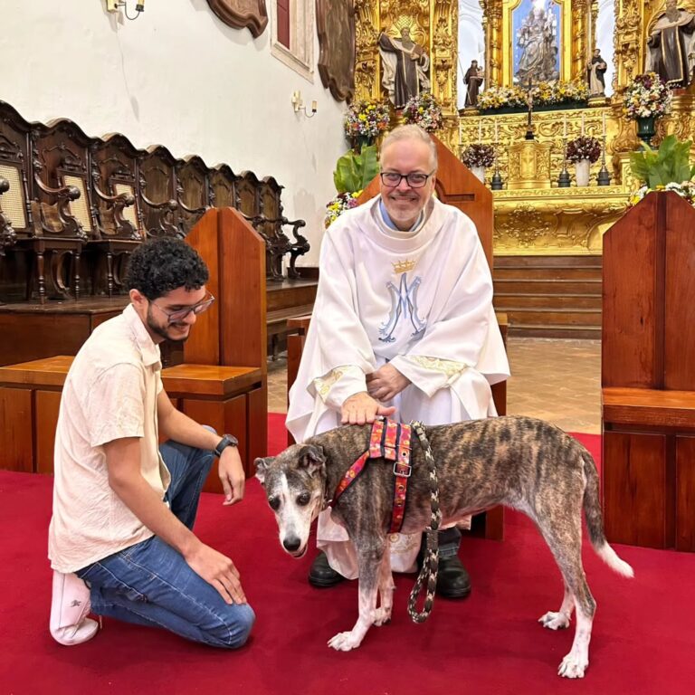 Padre em Caruaru resgata cães e põe em adoção nas missas 3 Padre em Caruaru resgata cães e põe em adoção nas missas
