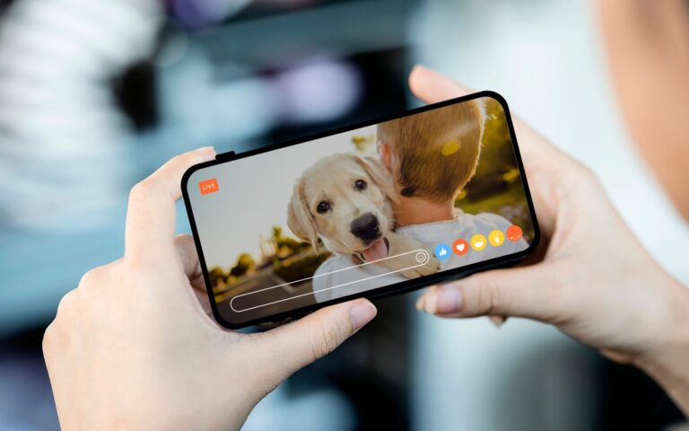 Por que a gente ADORA vídeos de cães